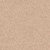 Beige 50M